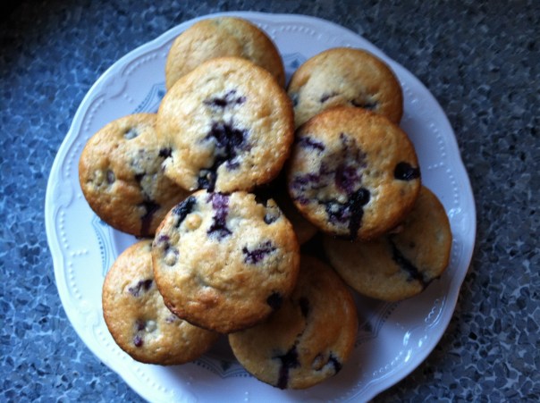 blueberry muffins